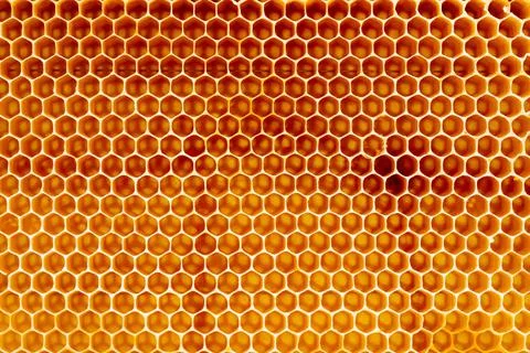 Background texture and pattern of a section of wax honeycomb from a bee hive Stock Photos