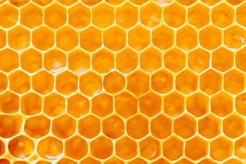 Background texture and pattern of a section of wax honeycomb from a bee hive Stock Photos