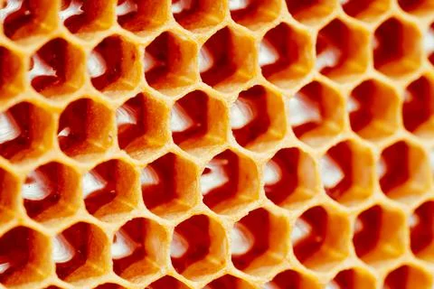 Background texture and pattern of a section of wax honeycomb from a bee hive Stock Photos