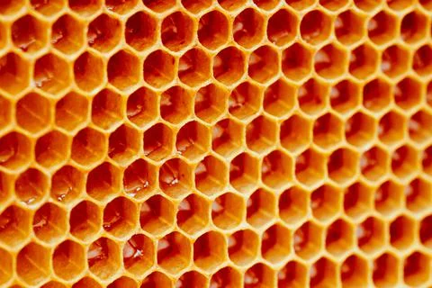 Background texture and pattern of a section of wax honeycomb from a bee hive Stock Photos