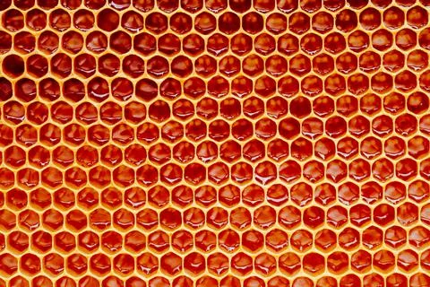 Background texture and pattern of a section of wax honeycomb from a bee hive Stock Photos