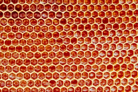 Background texture and pattern of a section of wax honeycomb from a bee hive Stock Photos
