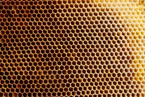 Background texture and pattern of a section of wax honeycomb from a bee hive  Stock Photos