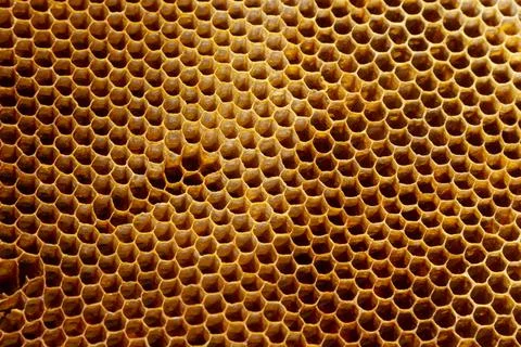 Background texture and pattern of a section of wax honeycomb from a bee hive  Stock Photos