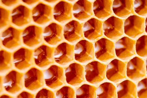 Background texture and pattern of a section of wax honeycomb from a bee hive Stock Photos