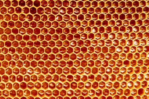 Background texture and pattern of a section of wax honeycomb from a bee hive Stock Photos