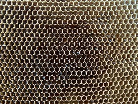 Background texture and pattern of a section of wax Stock Photos