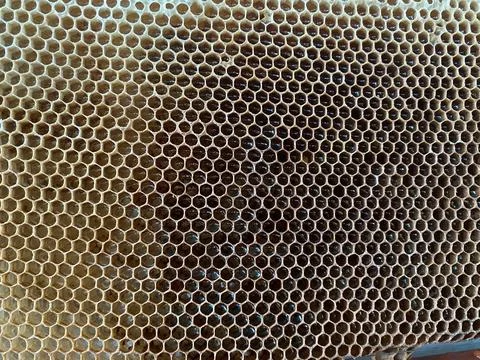 Background texture and pattern of a section of wax Stock Photos