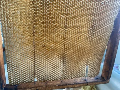 Background texture and pattern of a section of wax Stock Photos