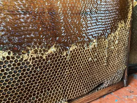 Background texture and pattern of a section of wax Stock Photos