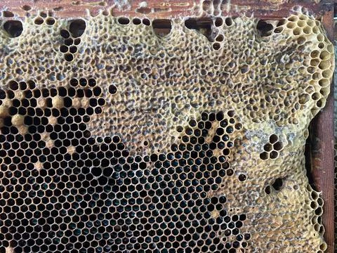Background texture and pattern of a section of wax Foto stock