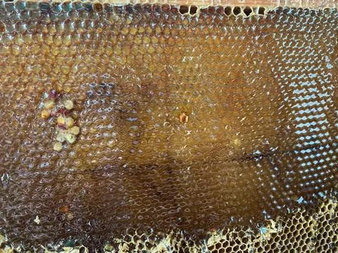 Background texture and pattern of a section of wax Stock Photos