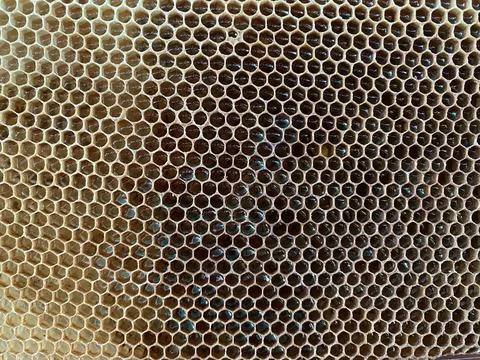 Background texture and pattern of a section of wax Foto stock