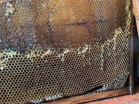 Background texture and pattern of a section of wax Stock Photos