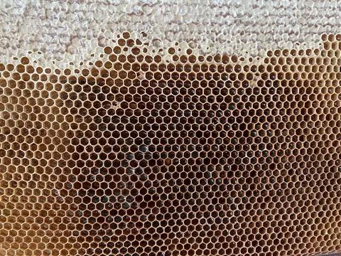 Background texture and pattern of a section of wax Stock Photos