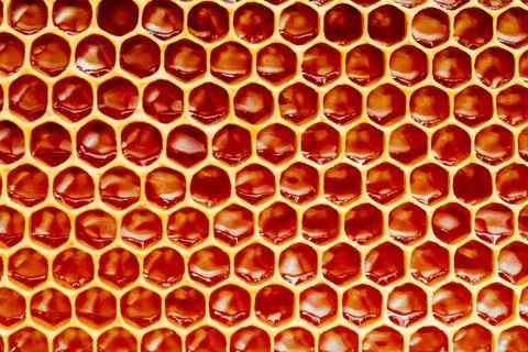 Background texture and pattern of a section of wax honeycomb from a bee hive Stock Photos