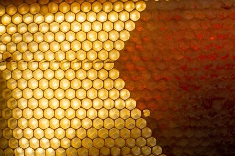 Background texture and pattern of a section of wax honeycomb from a bee hiv.. 库存照片