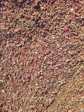 Background Texture of Apple Cake With Colorful Bits Resembling Fruit and Sp.. Stock Photos