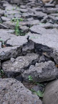 Background texture of arranged asphalt chunks 스톡 사진