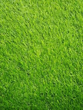 Background texture of artificial green plastic grass lawn. Stock Photos