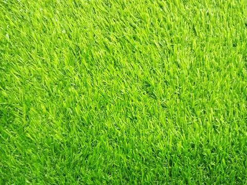 Background texture of artificial green plastic grass lawn. Stock Photos