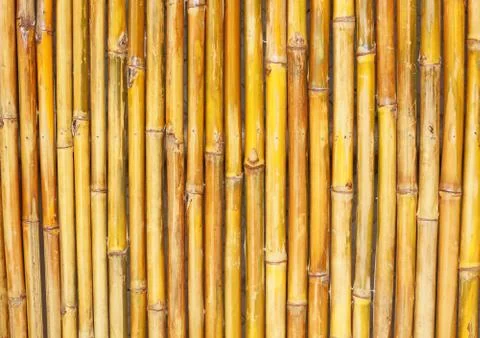 Background texture of a bamboo fence Stock Photos