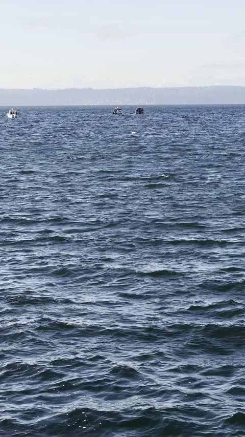 Background texture blue sea water sky waves Stock-Footage 241004909