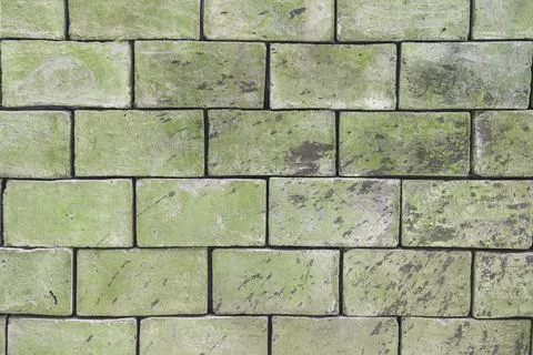 Background texture of a brick wall of light green, greenish shades of large Stock Photos