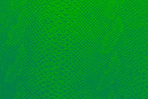 Background texture of bright emerald green snake skin 写真素材