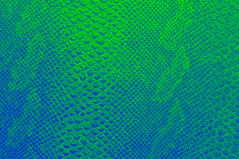 Background texture of bright emerald green snake skin 写真素材