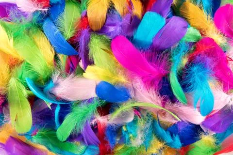 Background texture of brightly colored feathers Stock Photos