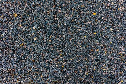 Background with the texture of broken rough pebbles. Dark wet pebbles. Photo  Stock Photos