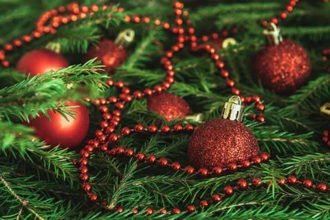 Background texture of Christmas tree branches with red baubles and beads Stock Photos