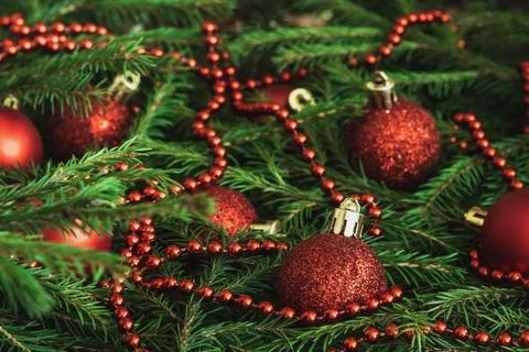 Background texture of Christmas tree branches with red baubles and beads Foto stock