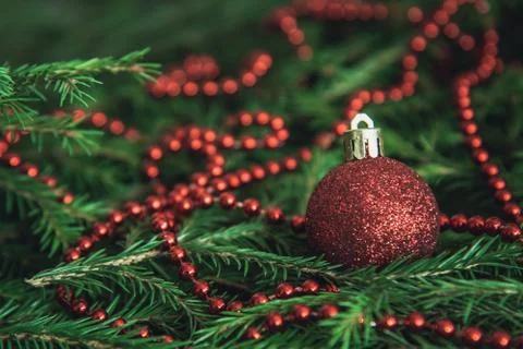 Background texture of Christmas tree branches with red baubles and beads Stock Photos