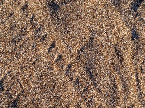 Background texture of coarse-grained seashell sand on the beach Foto stock