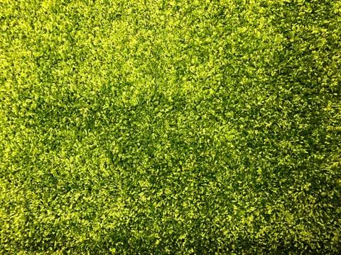 Background, texture of colored carpet. Used for floors Stock Photos