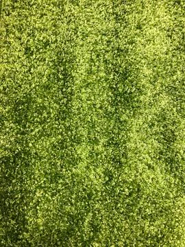 Background, texture of colored carpet. Used for floors Stock Photos