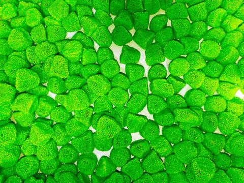 Background texture colored different sweet candy close-up Stock Photos