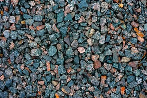 Background with the texture of colored rough pebbles. Dark wet pebbles. Photo Stock Photos