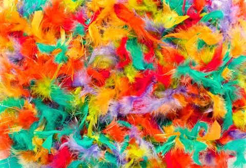Background texture of colorful feathers Stock Photos