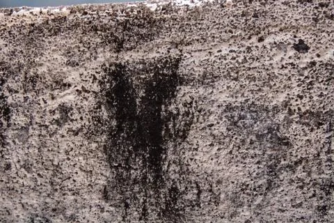 Background texture of concrete Foto stock