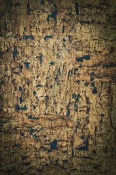 Background texture of cork 스톡 사진