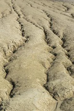 Background with texture of cracks on dried soil Stock Photos