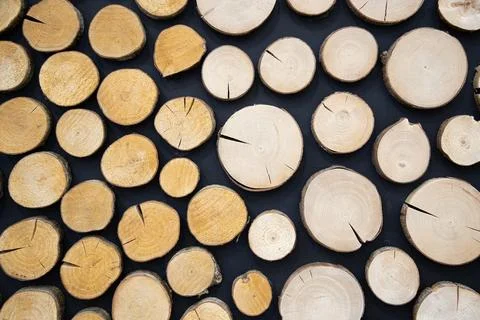 Background texture   of a cross section of cut ends of round wooden logs . .. Stock Photos