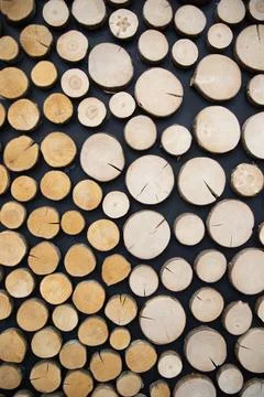 Background texture   of a cross section of cut ends of round wooden logs . .. Stock Photos
