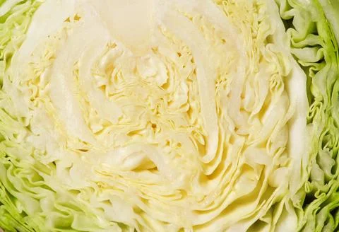 Background, texture from a cut of young cabbage close-up. Stock Photos