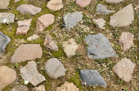 Background, texture, design. A fragment of the cobbled pavement. Stock Photos