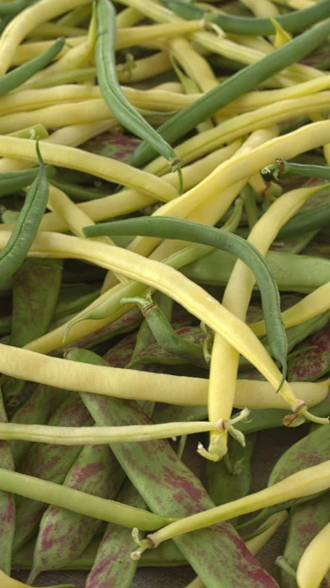 Background texture of different varieties of green beans. Vertical video. Stock Footage 314078288
