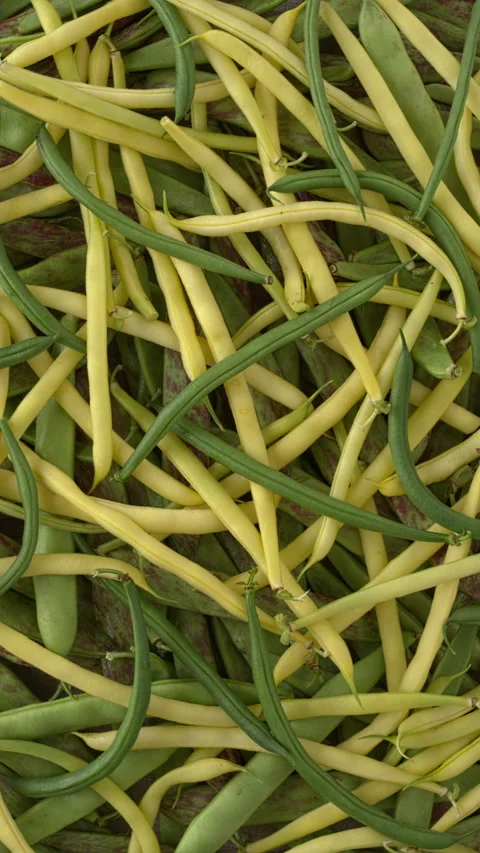 Background texture of different varieties of string beans. Vertical video. Stock Footage 318829145